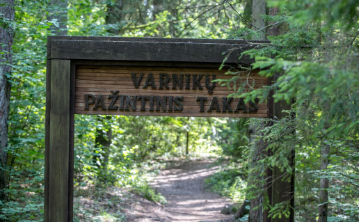 8_varnikiu-botaninio-zoologinio-draustinio-pazintinis-takas-5d611c3a58169_VSTT_L (4).jpg